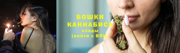 шишки Куйбышев