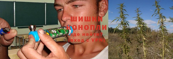шишки Куйбышев
