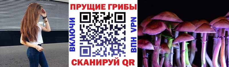 Псилоцибиновые грибы Psilocybine cubensis  что такое   блэк спрут рабочий сайт  Талдом 